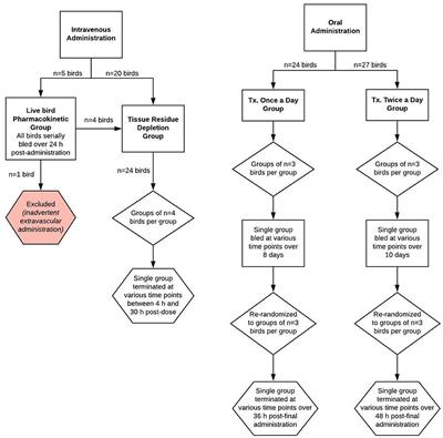 Pharmacokinetic Parameters and Estimating Extra-Label Tissue Withdrawal Intervals Using Three Approaches and Various Matrices for Domestic Laying Chickens Following Meloxicam Administration